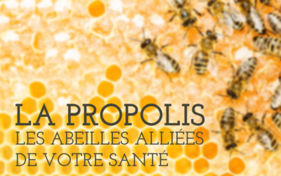 La Propolis : les abeilles alliées de votre santé !