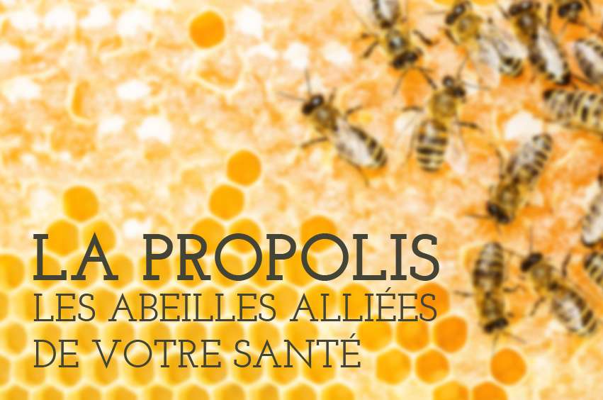 La Propolis : les abeilles alliées de votre santé !