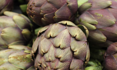 Artichaut violet bio
