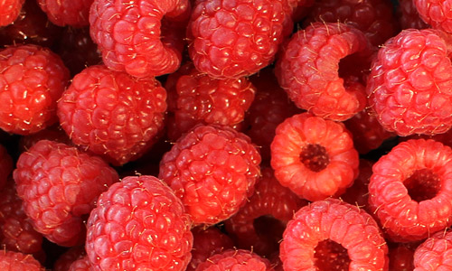 Framboise bio