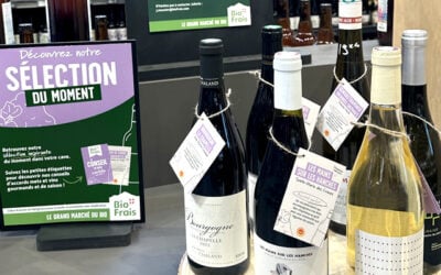 Une sélection de vins bio pour chaque saison !