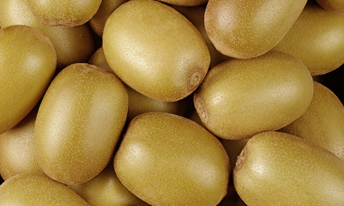 Kiwi gold bio