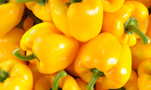 Poivron jaune bio
