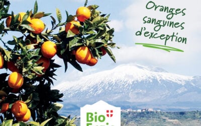 Des agrumes d’exception cultivés en Sicile