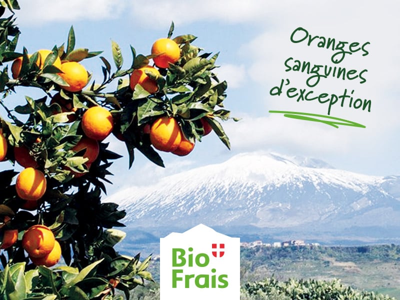 Des agrumes d&rsquo;exception cultivés en Sicile