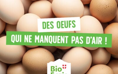 Des œufs qui ne manquent pas d’air !